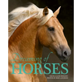 Dreaming of Horses