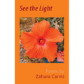 See the Light