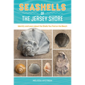 Seashells of the Jersey Shore: Identify and Learn about the Shells You Find on the Beach