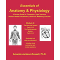 Essentials of Anatomy and Physiology - A Review Guide - Module 2: For Therapists, Yoga Teachers, Holistic Healers & Wellbeing Coaches