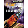 Giant Hissing Cockroaches