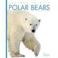 Polar Bears