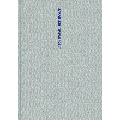 Sarah Sze: Triple Point