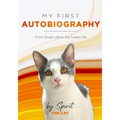 My First Autobiography: From Street Life to the Sweet Life