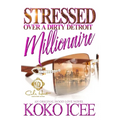 Stressed Over A Dirty Detroit Millionaire: An African American Romance