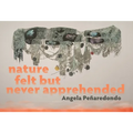 Nature Felt But Never Apprehended