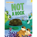 Not a Rock