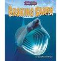 Basking Shark