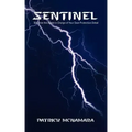 Sentinel: Become the Agent in Charge of Your Own Protection Detail