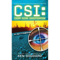 Csi: In Extremis