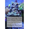 Saltwater Fish and Reef Tanks: From Beginner to Expert