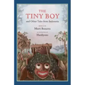 The Tiny Boy and Other Tales from Indonesia
