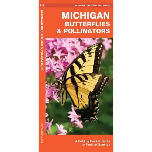 Michigan Butterflies & Pollinators: A Folding Pocket Guide to Familiar Species