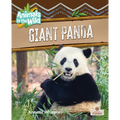 Giant Panda