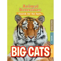 Big Cats