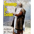 Gleanings in Exodus