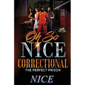 Oh So Nice Correctional: The Perfect Prison
