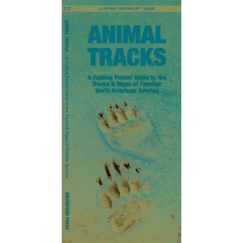 Animal Tracks: A Folding Pocket Guide to the Tracks & Signs of Familiar North American Species