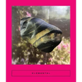 Elemental: Earth Stories