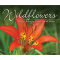 Wildflowers: Nature's Stunning Beauty on Display