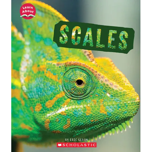 Scales (Learn About: Animal Coverings)