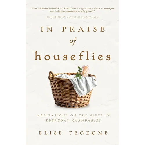 In Praise of Houseflies: Meditations on the Gifts in Everyday Quandaries