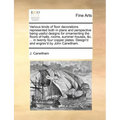 Various Kinds of Floor Decorations Represented Both in Plans and Perspective Being Useful Designs for Ornamenting the Floors of Halls, Rooms, Summer H