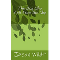 The Boy Who Fell From the Sky