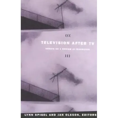 Television after TV: Essays on a Medium in Transition