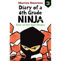 Rise of the Red Ninjas: #3