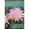 Wildflowers of Utah's Colorado Plateau: A Field Guide to Wildflowers of Capitol Reef National Park and Surrounding Areas of Southern Utah