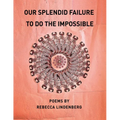 Our Splendid Failure to Do the Impossible