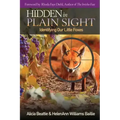 Hidden in Plain Sight