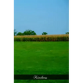 Kindness