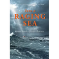 Into a Raging Sea: Great South African Rescues