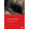 Derrycarhoon: A later Bronze Age copper mine in south-west Ireland