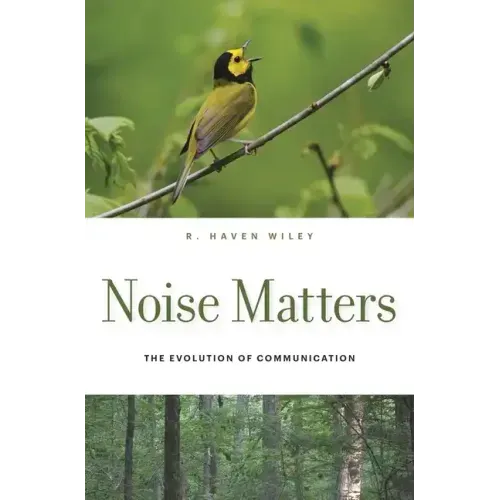 Noise Matters