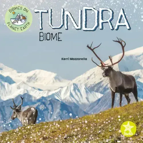 Tundra Biome