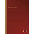 The Human Intellect