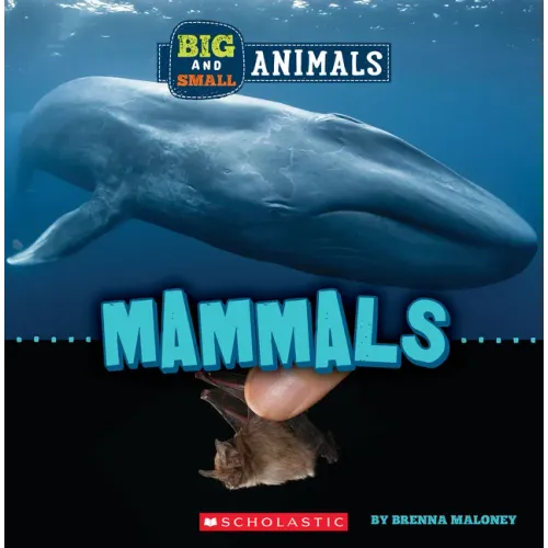 Mammals (Wild World: Big and Small Animals)