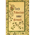 Alice's Adventures Under Ground