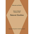 Natural Zeolites