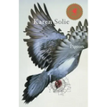 Pigeon