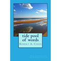 Tide Pool of Words: Prose and poetry from a beach chair storyteller