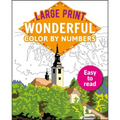 Large Print Wonderful Color by Numbers: Easy to Read