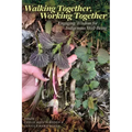 Walking Together, Working Together: Engaging Wisdom for Indigenous Well-Being