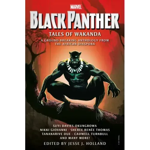 Black Panther: Tales of Wakanda