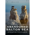 Abandoned Salton Sea: Dystopian Panoramas