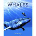 Whales: Amazing Pictures & Fun Facts on Animals in Nature
