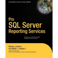 Pro SQL Server Reporting Services